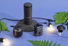 mosquito repellent for yard